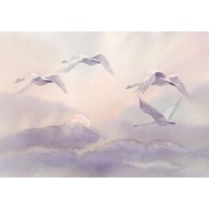 Fototapet - Flying Swans - Självhäftande 196x140